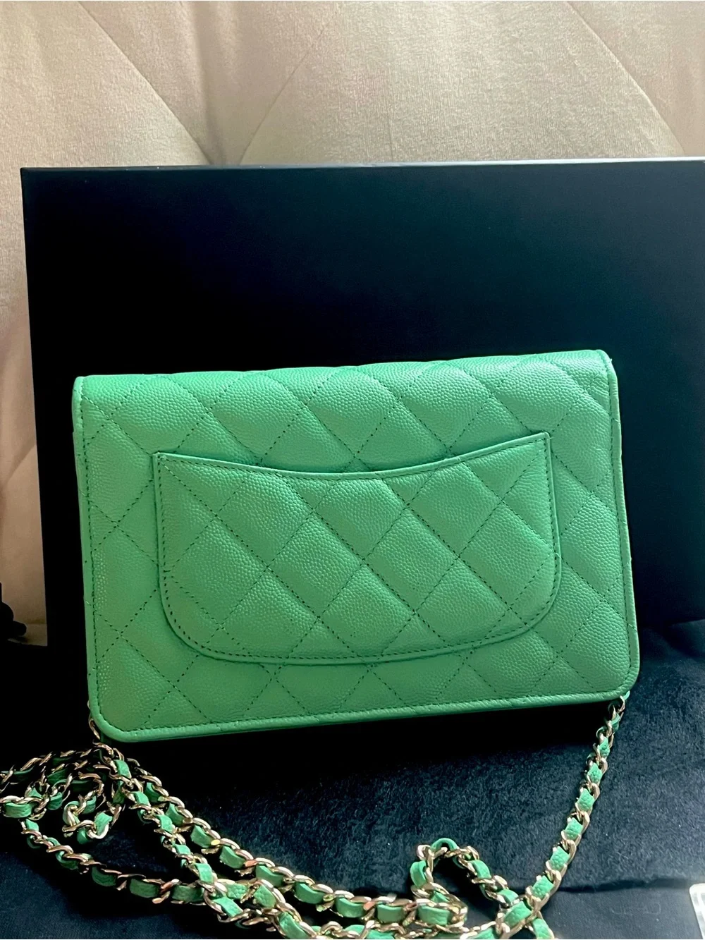 💚💚Chanel Caviar Green WOC Wallet On Chain